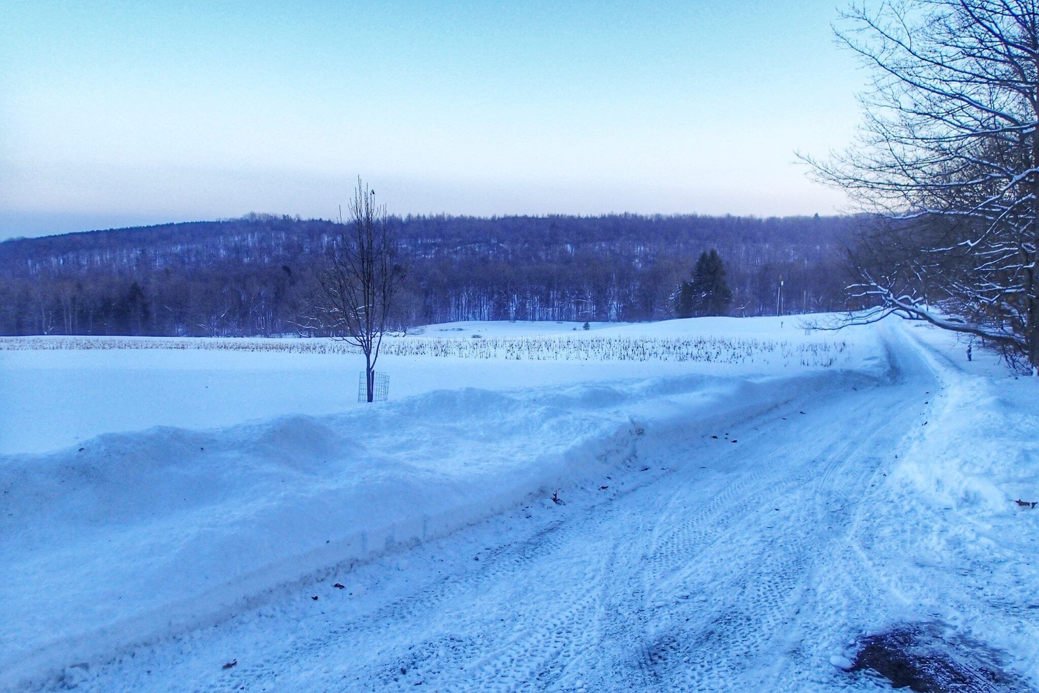 Our driveway in winter
