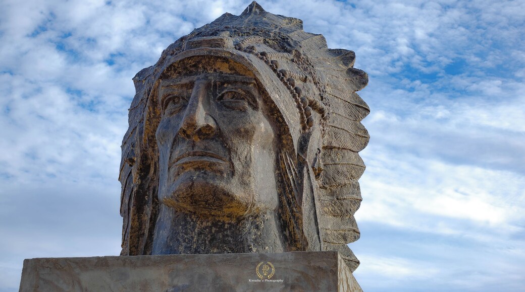 2020 of Jan 19th - Liberty Sculpture Park, Yermo, California