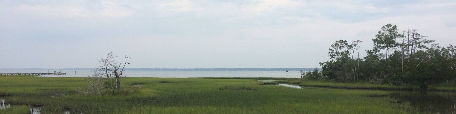 Salt Marsh