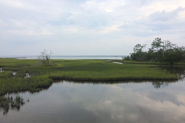 Salt Marsh