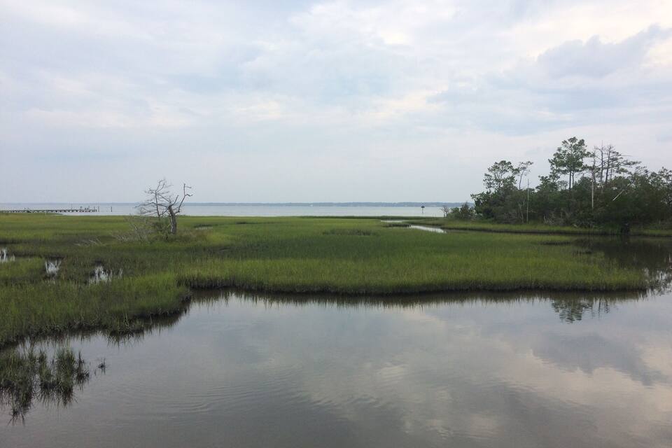 A marshy landscape with a calm water body, a distant pier, and sparse trees.