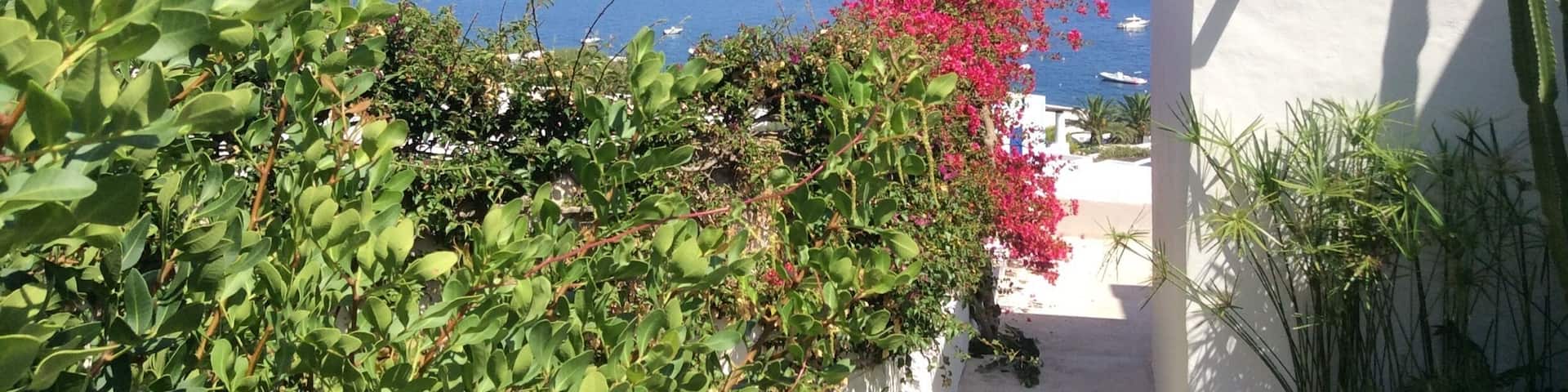 Lovely place to eat and watch Stromboli erupt every 10 to 20 minutes