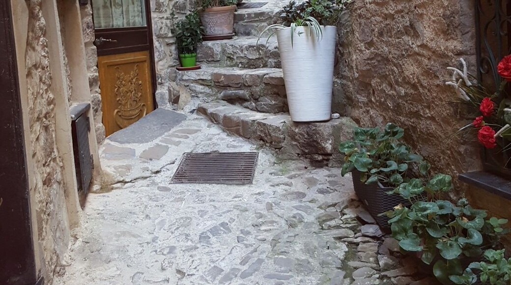 It's really a shame I can only choose 1 photo. This is truly the most amazing place I have ever seen. We had to drive up in the mountains, park the car and walk through this village (castle) to find our room. I so wish we had more time to explore here. Such a hidden charm. The rooms are all made out of rocks. This is an absolute must and only 41 km from Monte Carlo. Google it and you'll see for yourself and very reasonably priced.