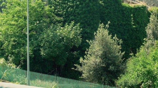 South of Salerno. All over Italy, you run across buildings here and there that look like lovely old structures, enshrouded in vines and overgrowth. Or, sometimes occupied. Or, somettimes, both.