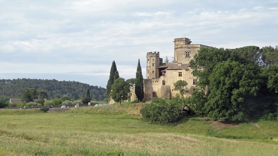 A historic castle with a tower, surrounded by lush greenery and a field.
