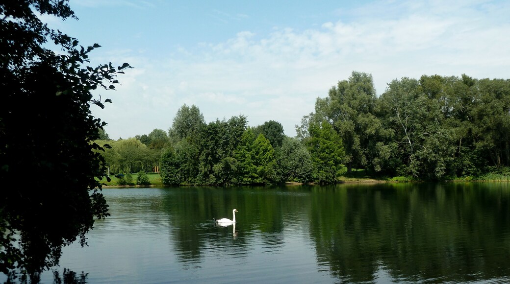 Der Bergsee in Moers