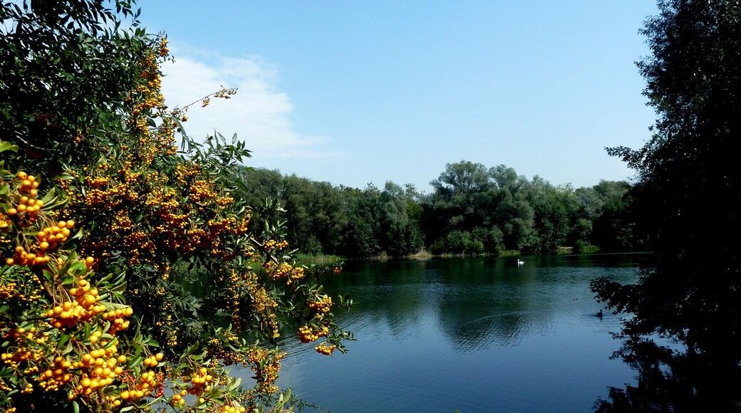 Moers – Baggersee, auch Bergsee oder Schwafheimer See