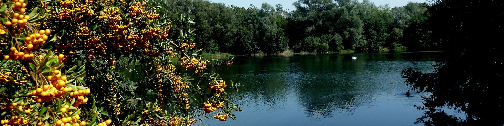 Moers – Baggersee, auch Bergsee oder Schwafheimer See