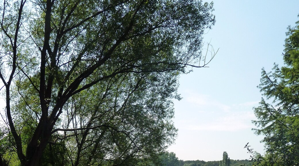 Moers – Schwafheimer See