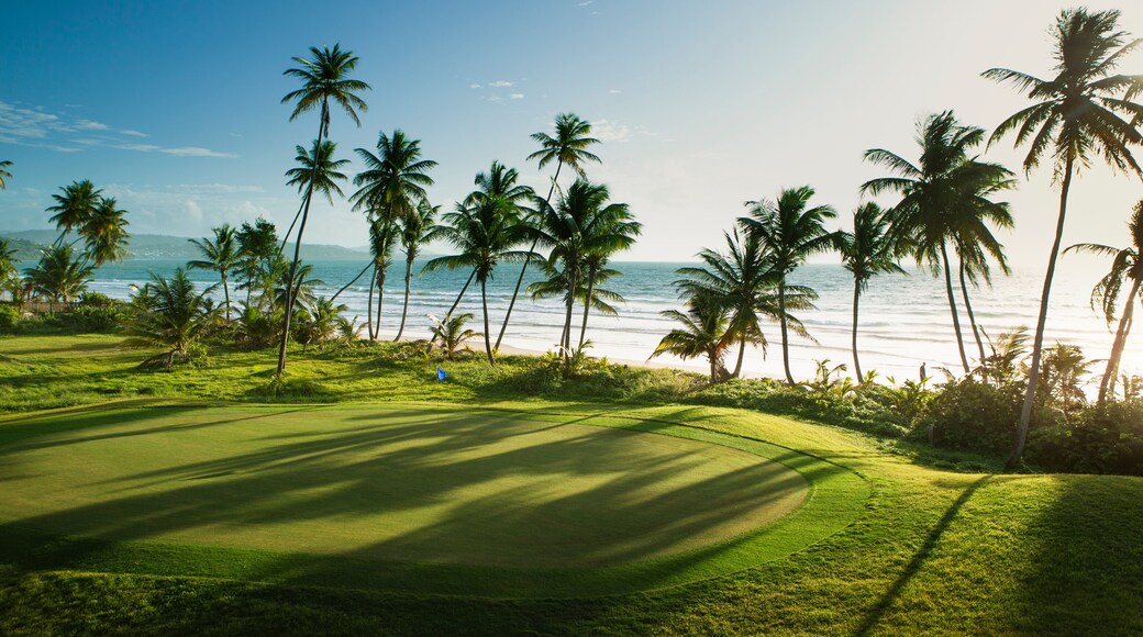 Trinidad and Tobago, Lowlands, Tobago, View of golf course at seaside
