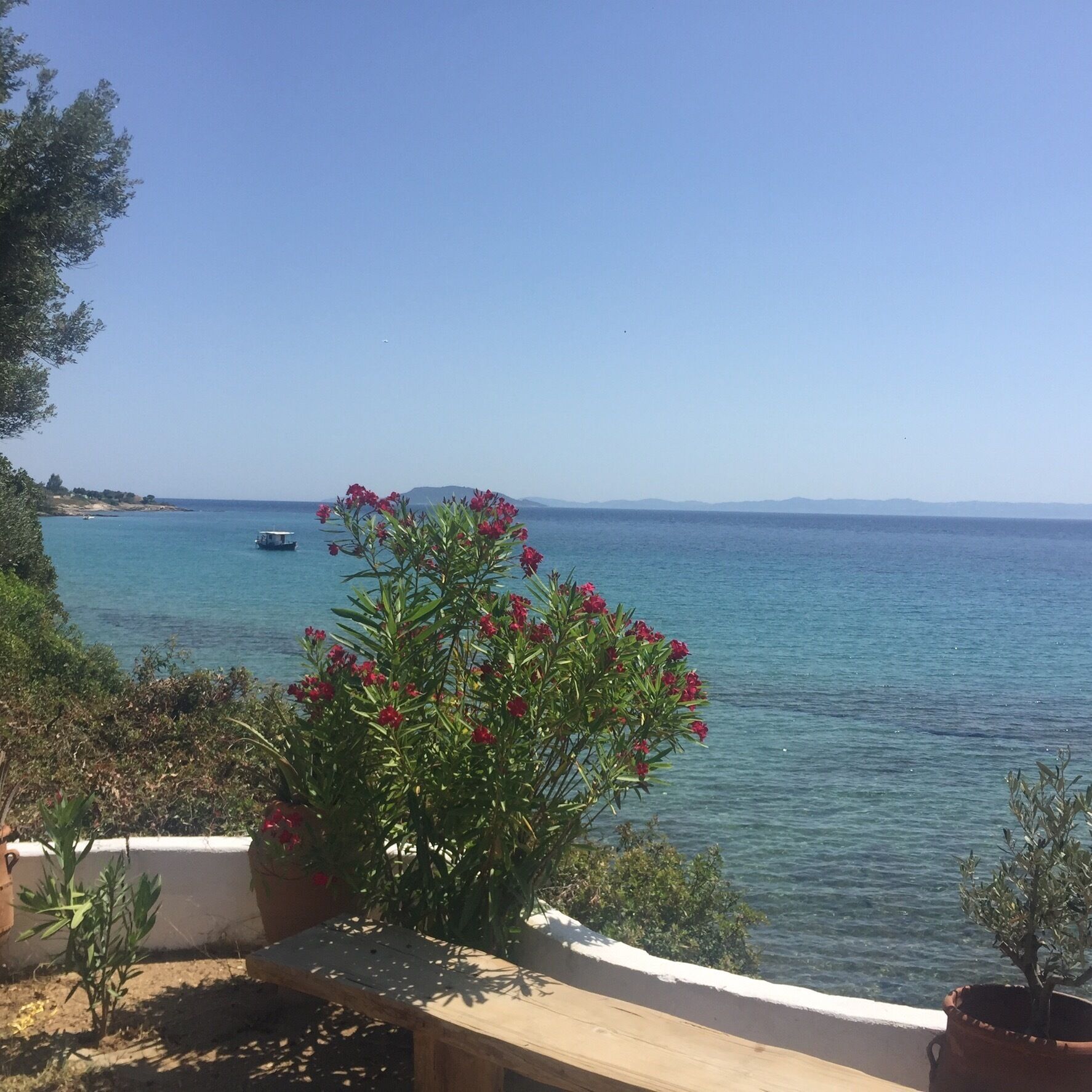 The restaurant with greatest view around. Nice place.