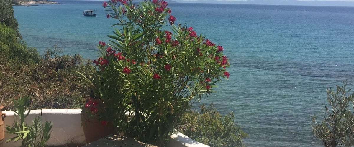 The restaurant with greatest view around. Nice place.