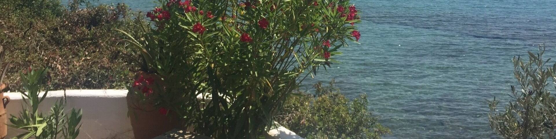 The restaurant with greatest view around. Nice place.