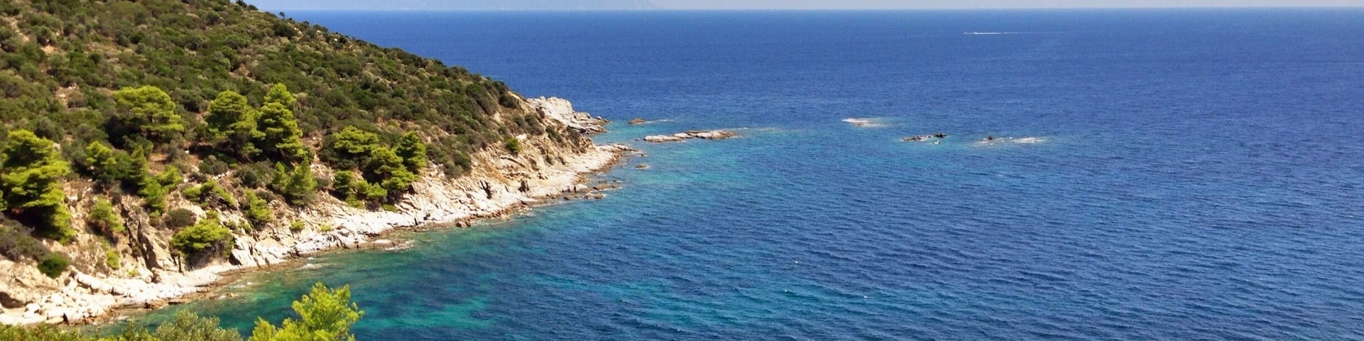 The blue med.