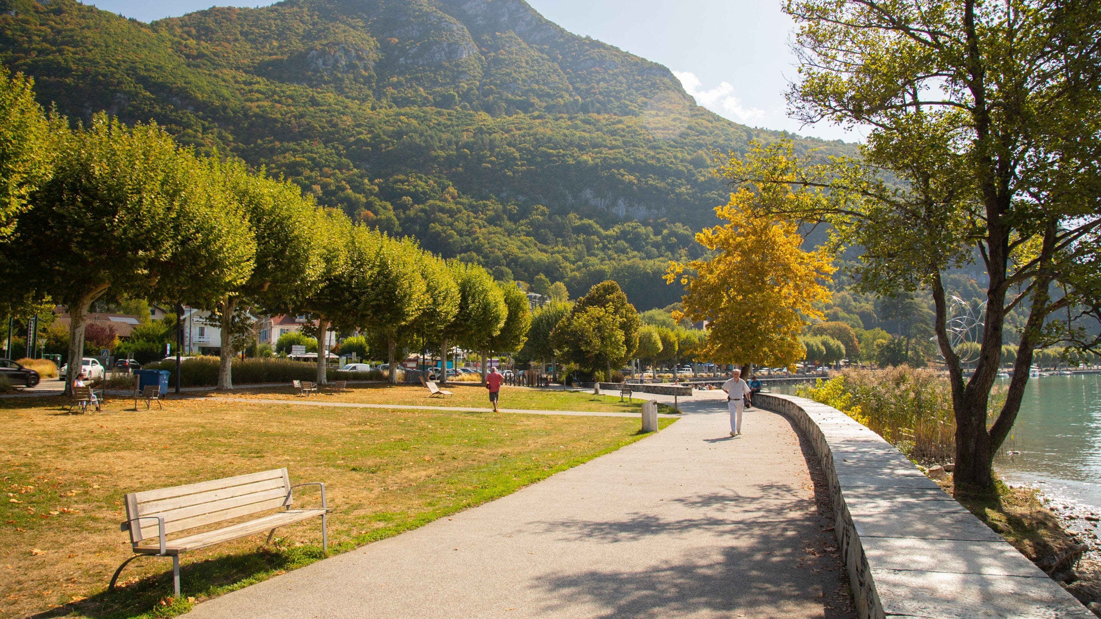 A park with a walking path, benches, trees, and a lake.