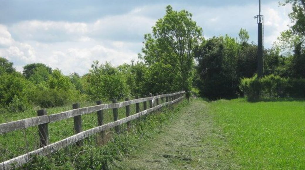 Mobile Phone mast in corner of a field This Hutchinson 3G Radio Transmitter mast is near the M20 Motorway and Gabrielspring Road. A footpath passes it from Horton Kirby to Garbrielspring Road.