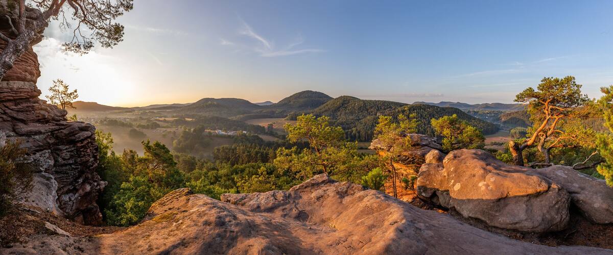 A mountainous landscape with rocky outcrops and pine trees.