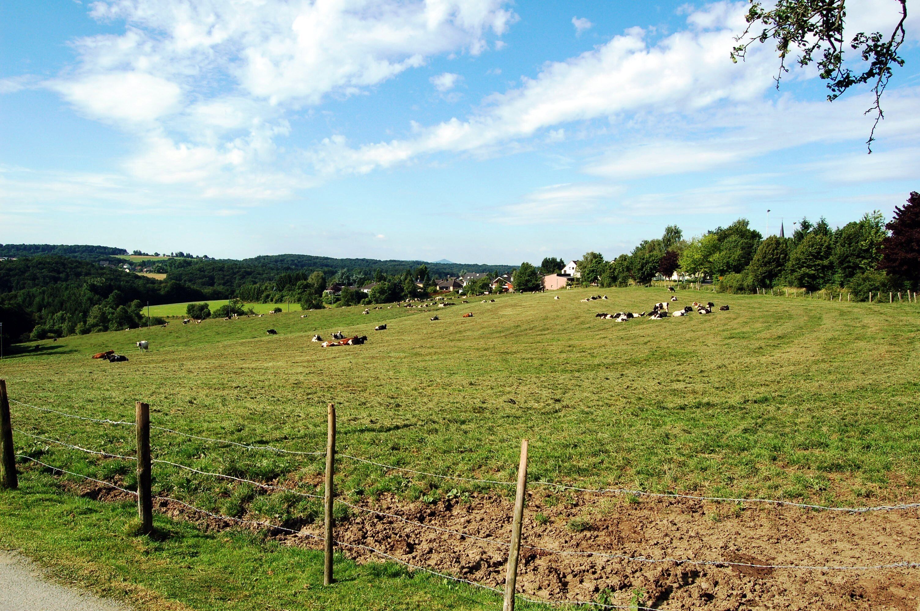 Blick Richtung Winterscheid