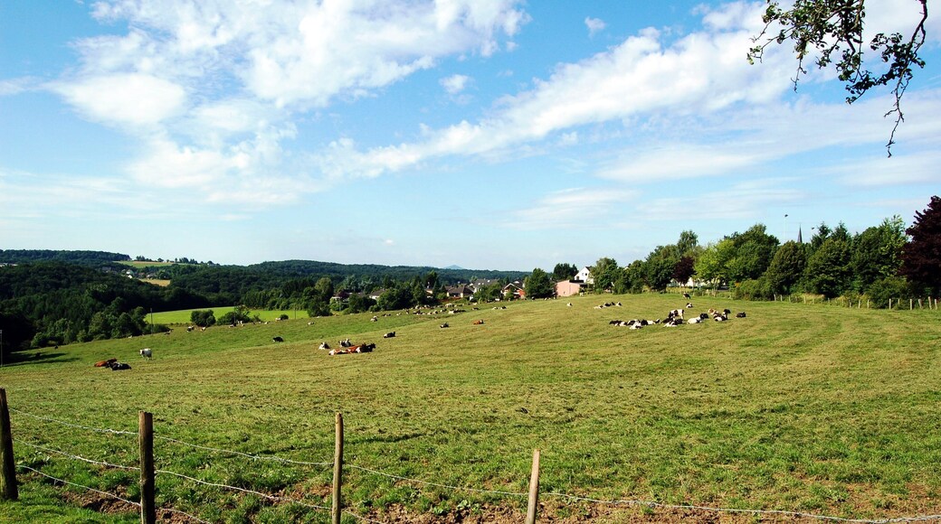 Blick Richtung Winterscheid
