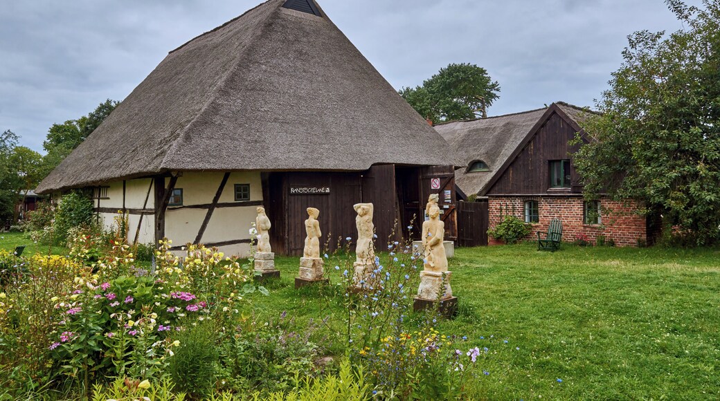 This is a photograph of an architectural monument. It is on the list of cultural monuments of Wustrow, no. 11270