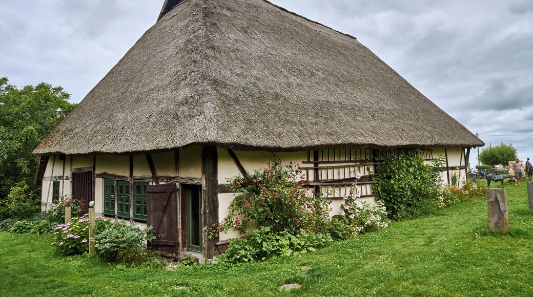This is a photograph of an architectural monument. It is on the list of cultural monuments of Wustrow, no. 11270