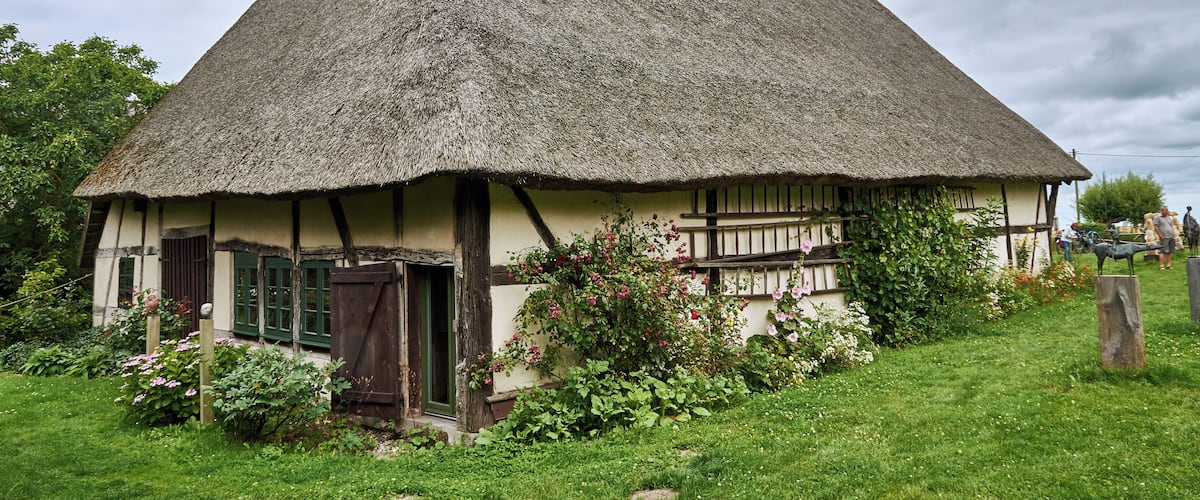 A traditional thatched-roof house surrounded by lush greenery.