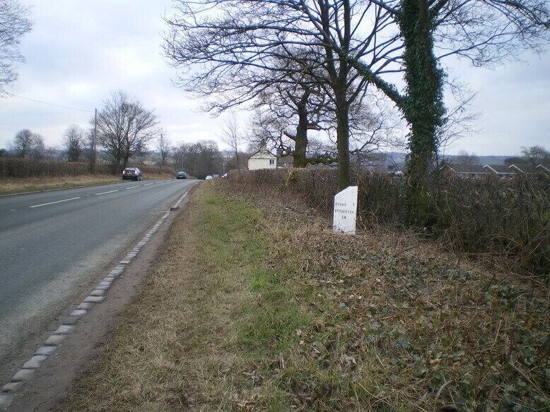 The Stone (Walton) milepost in its setting. Detailed view of the milepost in 1748119