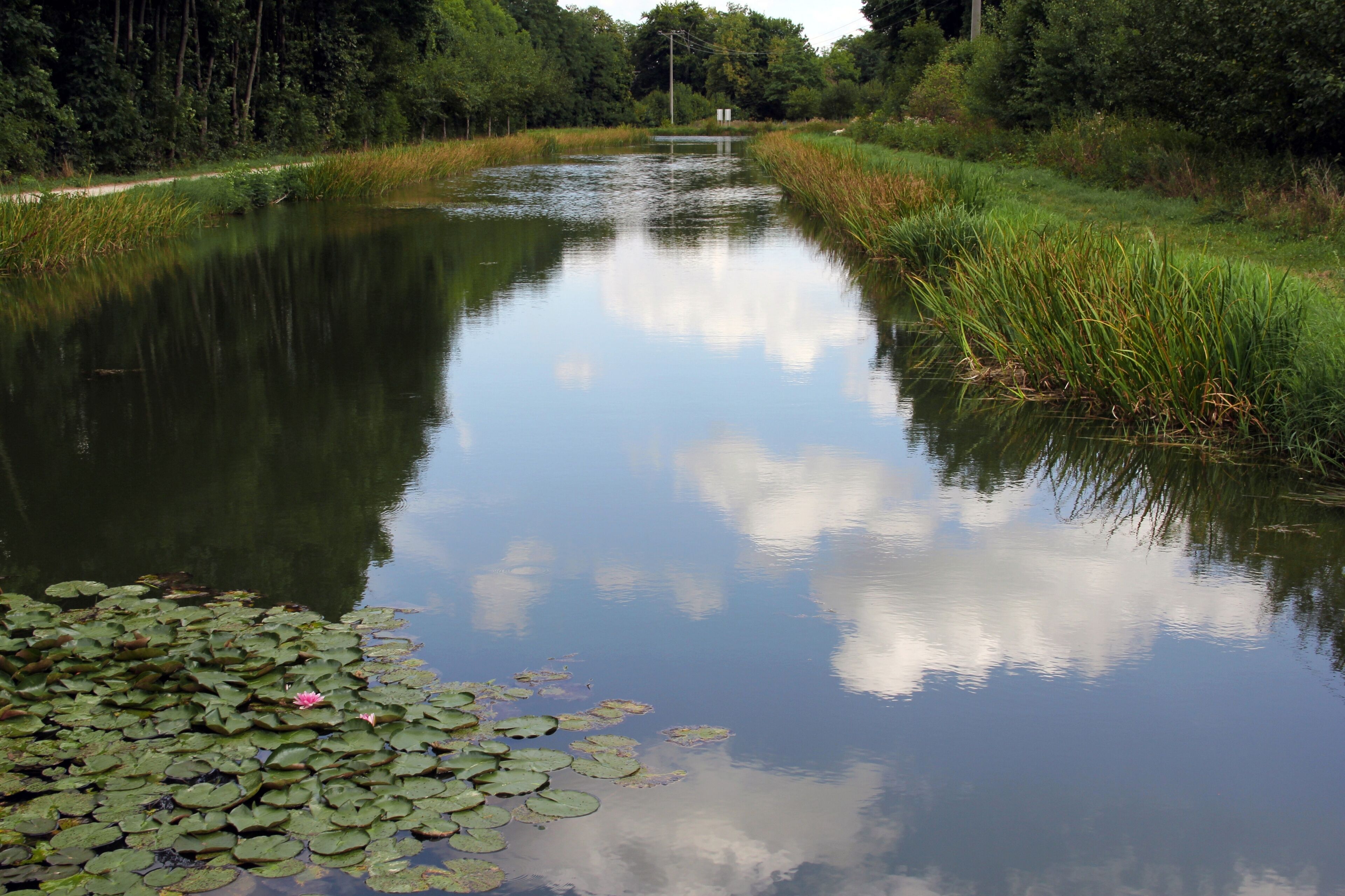 Abschnitt des Ludwig-Donau-Main-Kanals, Lände Pfeifferhütte