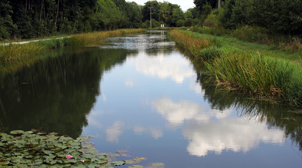Abschnitt des Ludwig-Donau-Main-Kanals, Lände Pfeifferhütte