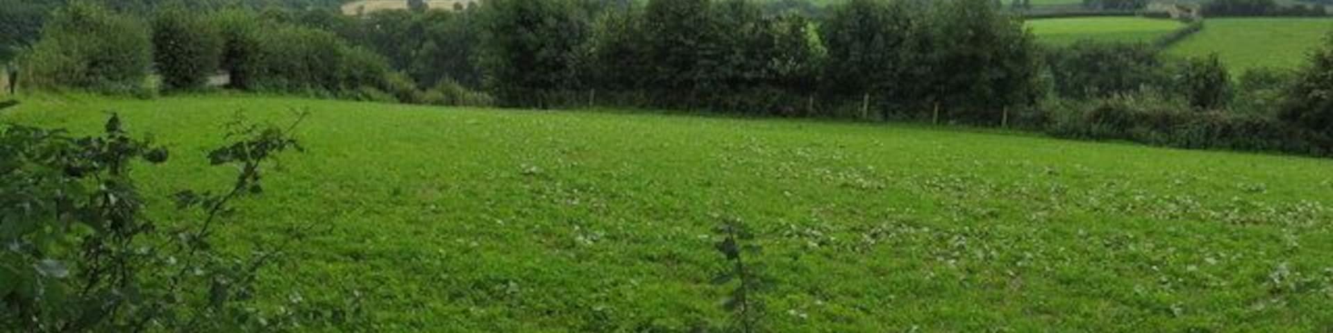 Un campo verde con árboles y una cerca en primer plano.