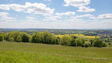 Summertime trees and scenery along the Bromyard Downs of England.