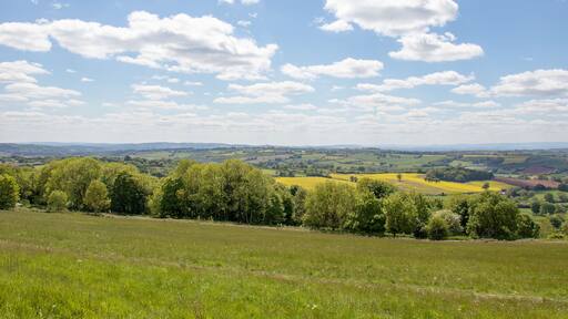 Bromyard