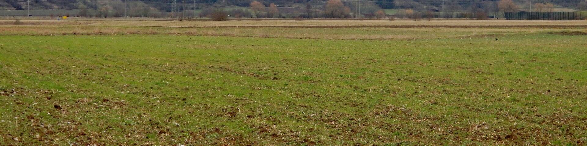 Beim 366 km langen Neckartalradweg: Wurmlinger Kapelle