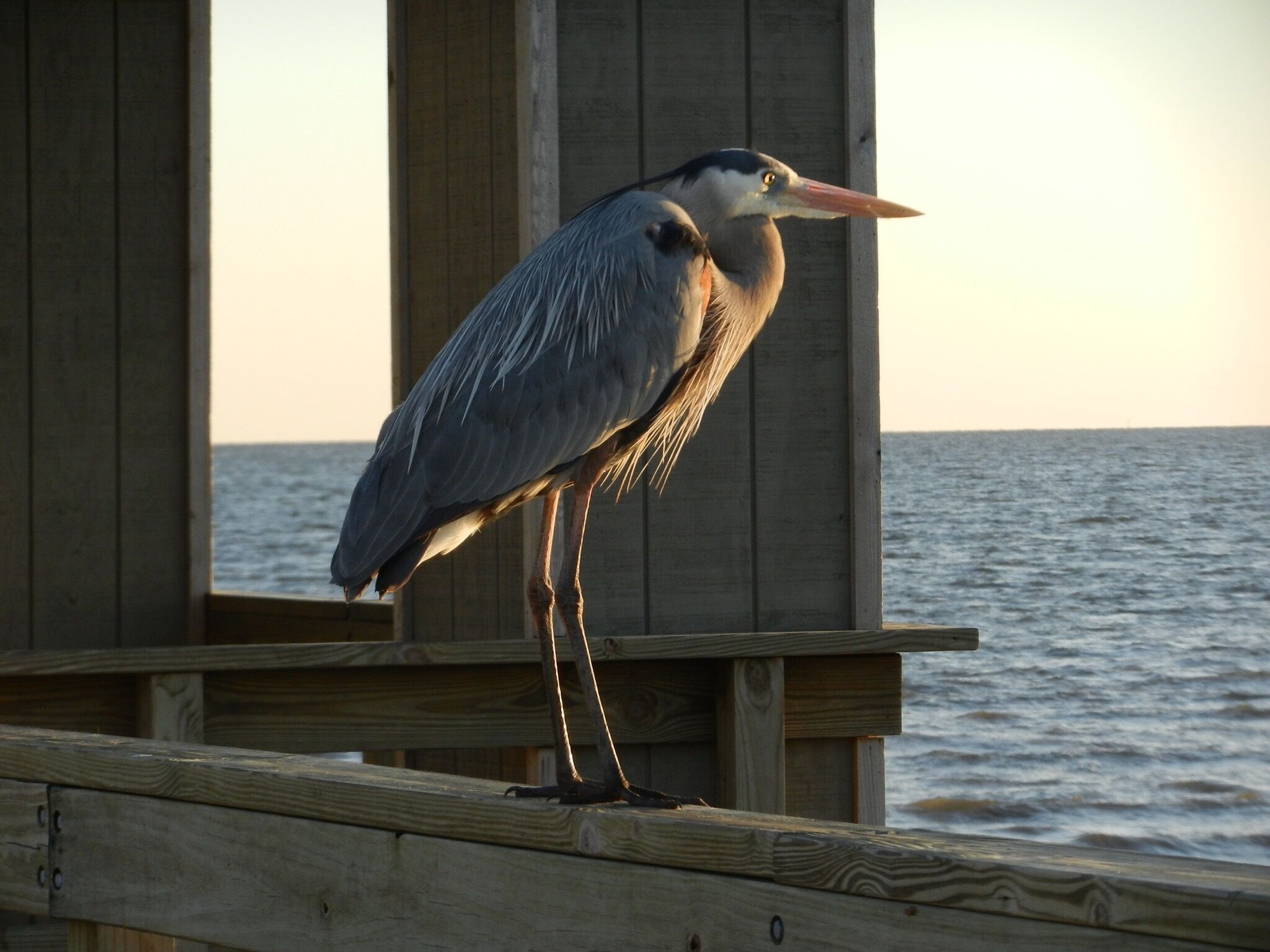 Outside of all the casinos the beach can still be enjoyable in Biloxi.