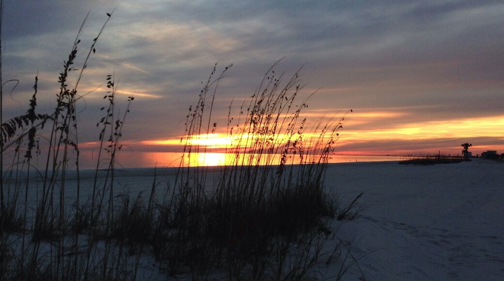 Beautiful sunset in Mississippi.