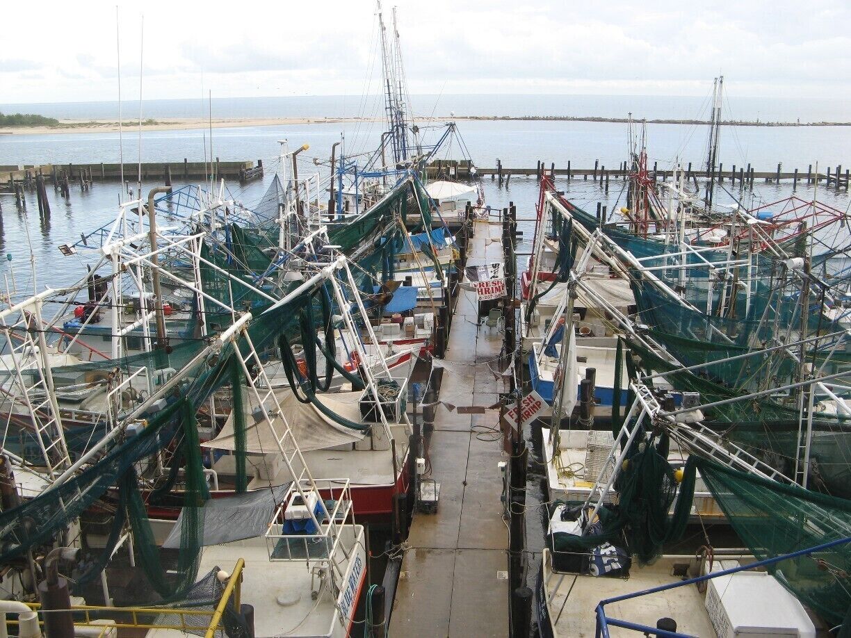 Right next to the Hard Rock, fisherman dock and sell their catches.  The shrimp you may be eating that night was just in the water about 24 hours ago.