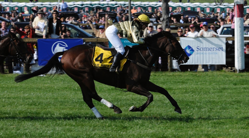 Somerset which includes horse riding and a sporting event