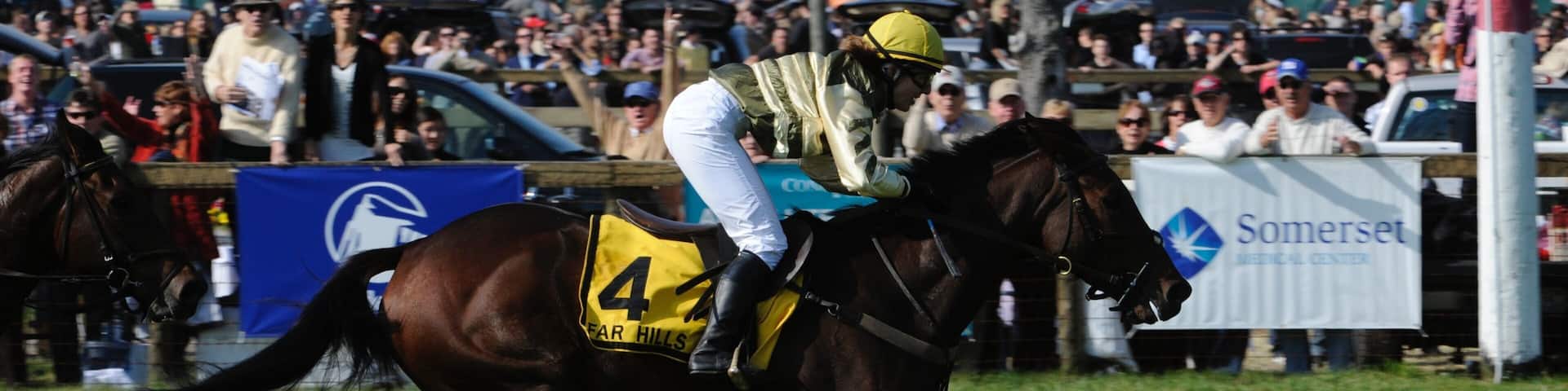 Somerset showing a sporting event and horseriding