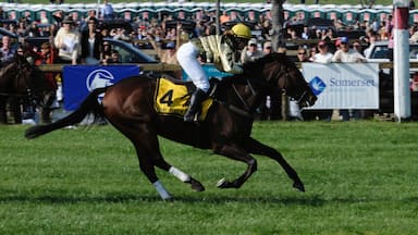 Somerset showing a sporting event and horseriding