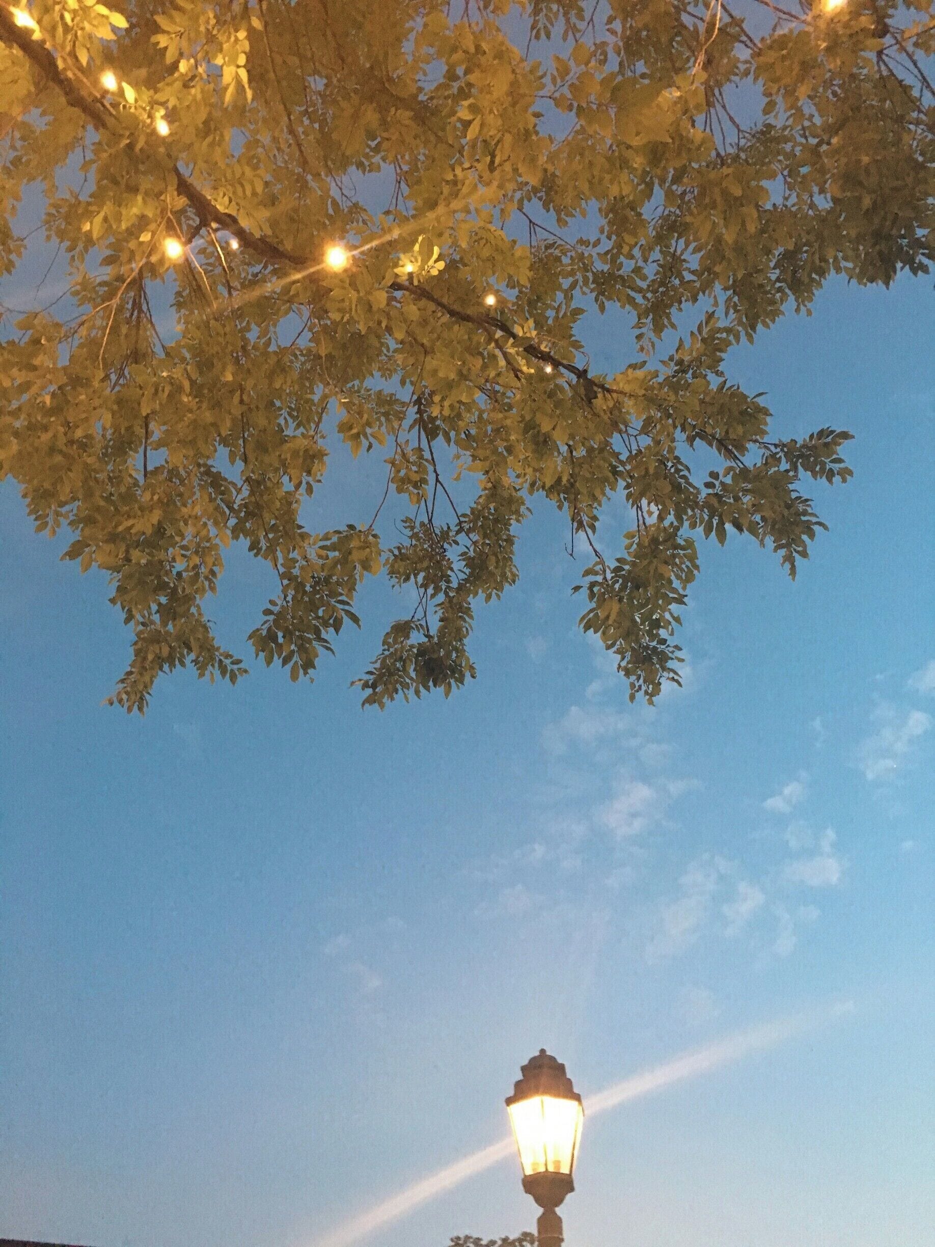 Not sure if there's anything better than an outdoor dinner with live music and beer to end the night. #EndlessSummer 