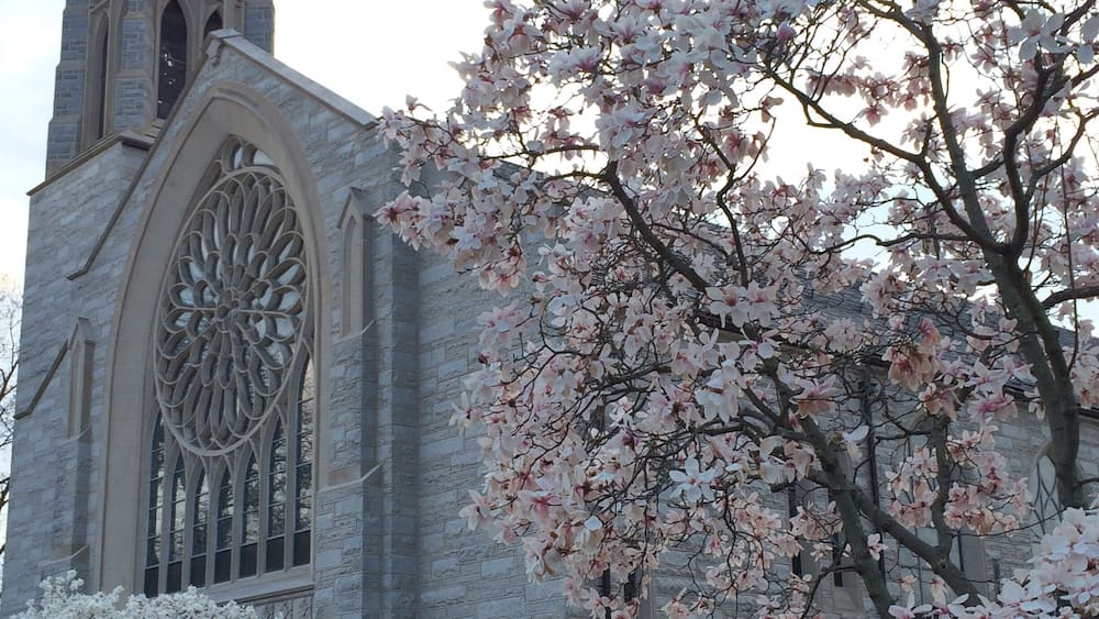 Une église dotée d’une grande rosace et d’une tour.