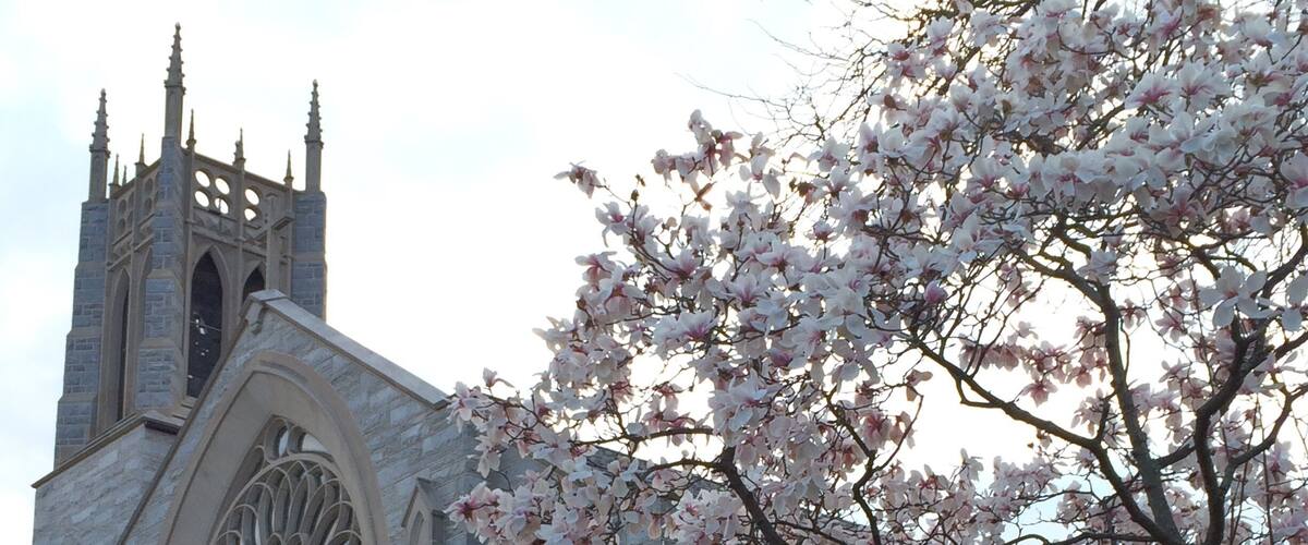 Nassau street in Princeton. Spring 2015