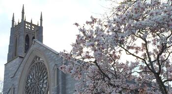 Nassau street in Princeton. Spring 2015