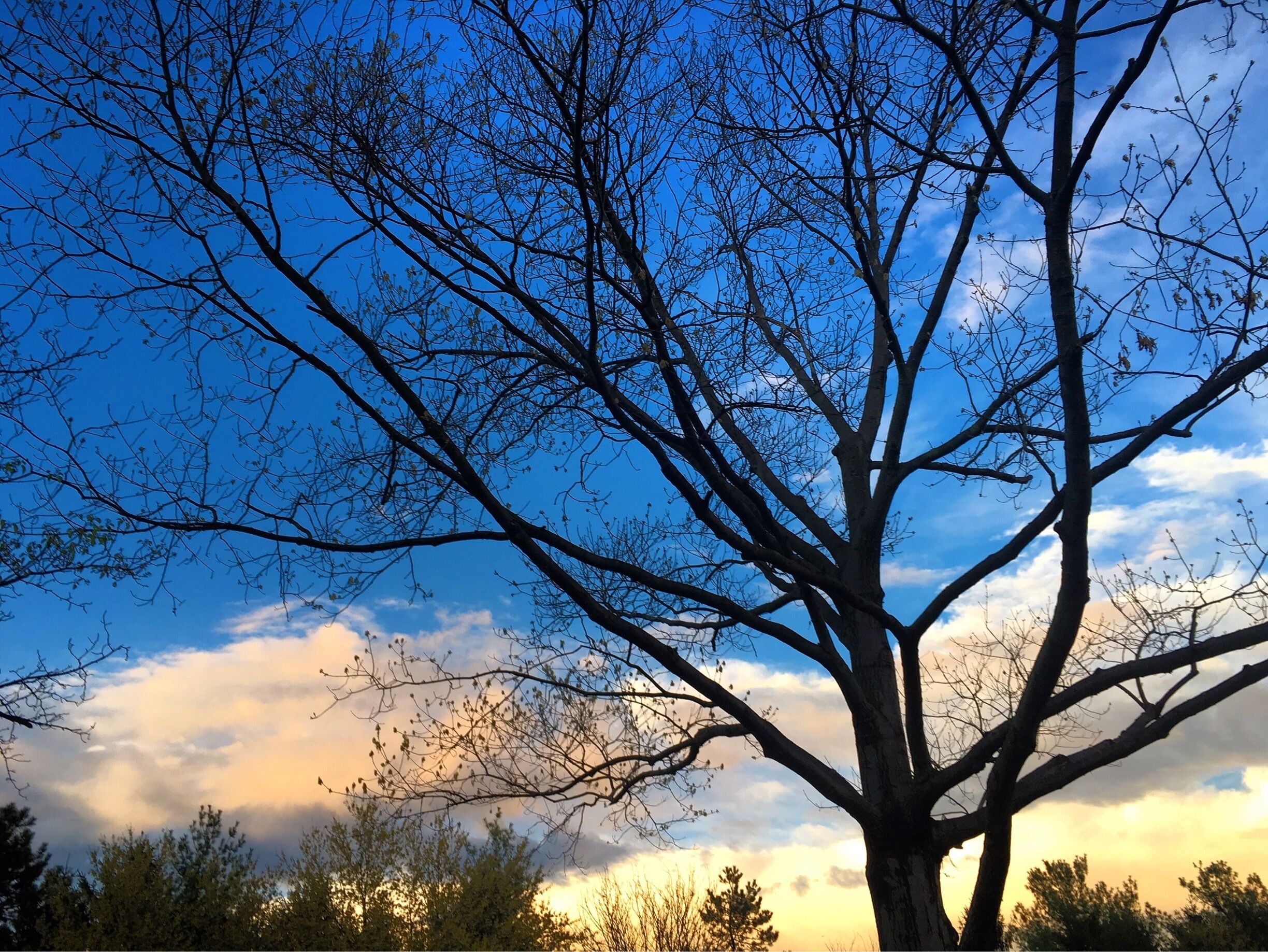 I moved to Centreville for the sky views. 