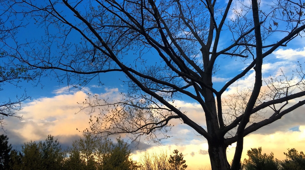 I moved to Centreville for the sky views.