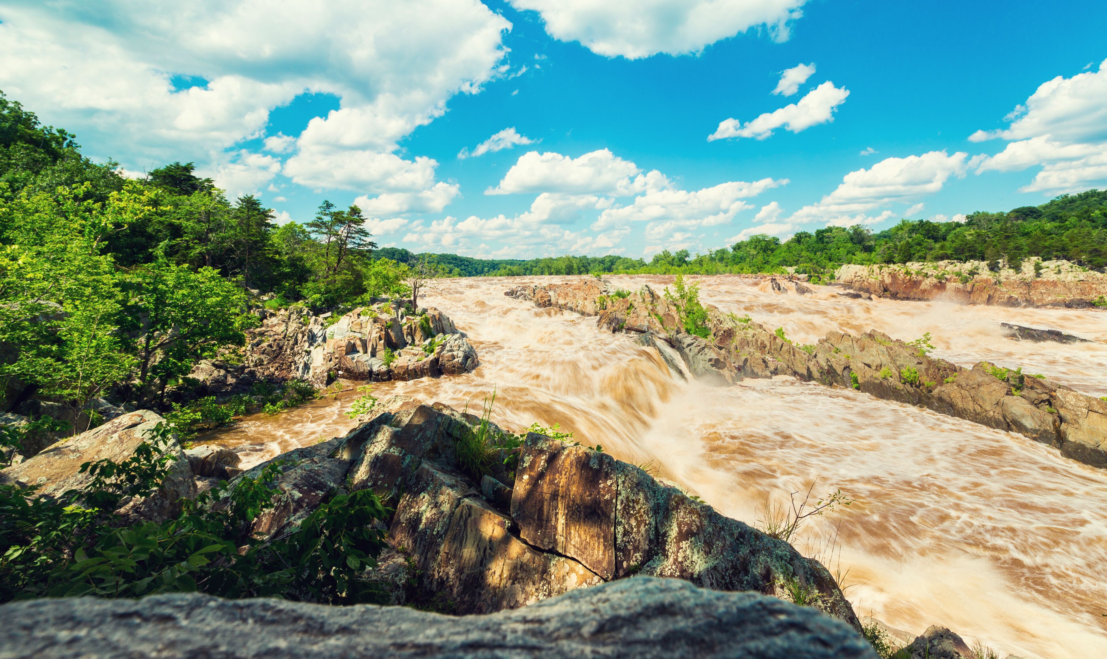 A river with a waterfall surrounded by lush greenery and a clear blue sky.