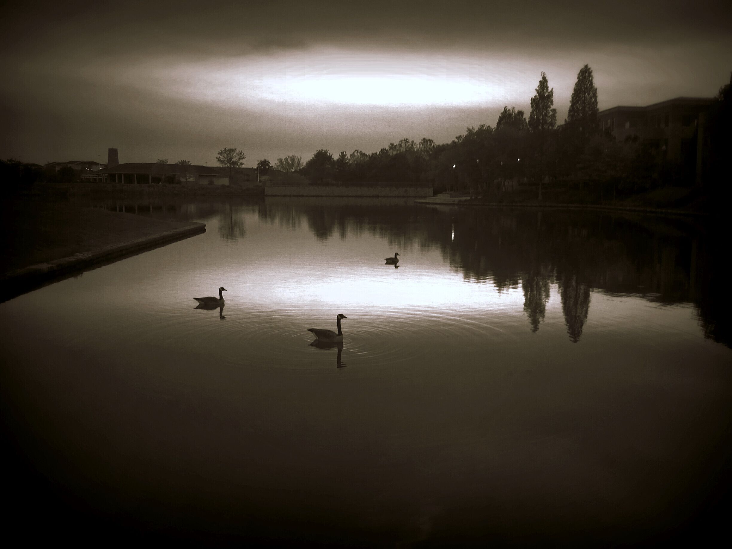 Just on a walk around my neighborhood. :)