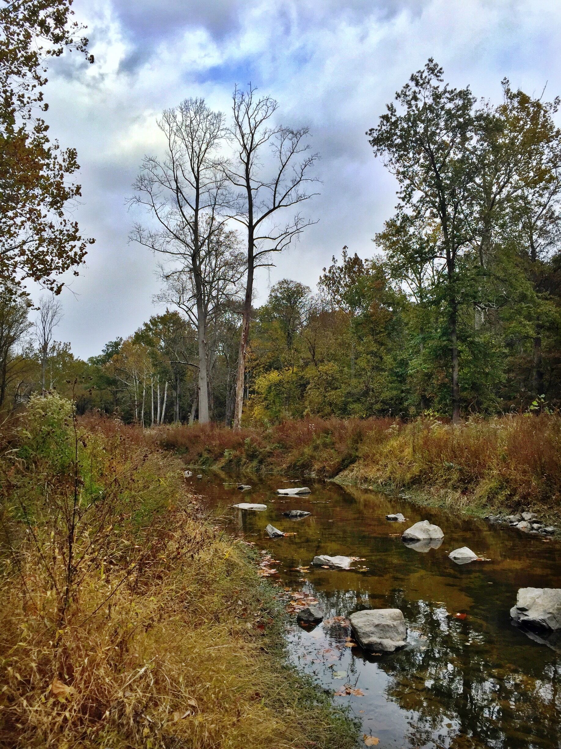 You can find the prettiest of sights just off the side of the road. This was taken along Old Braddock Road in Centreville. #leafer #virginia #autumn