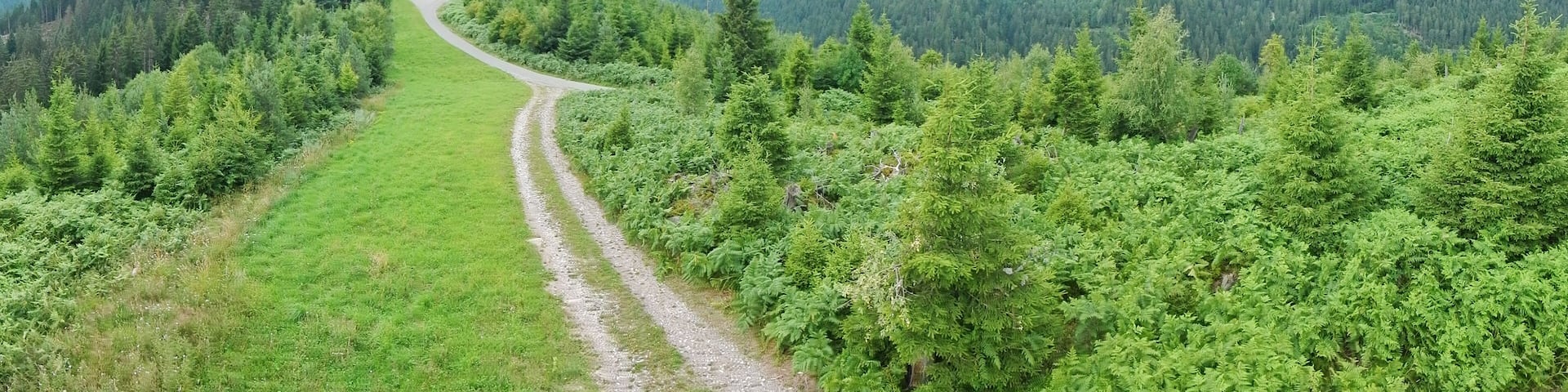 Baiersbronner Himmelswege - Naturgewalten Tour: Ausblick (Orkan Lothar 1999)