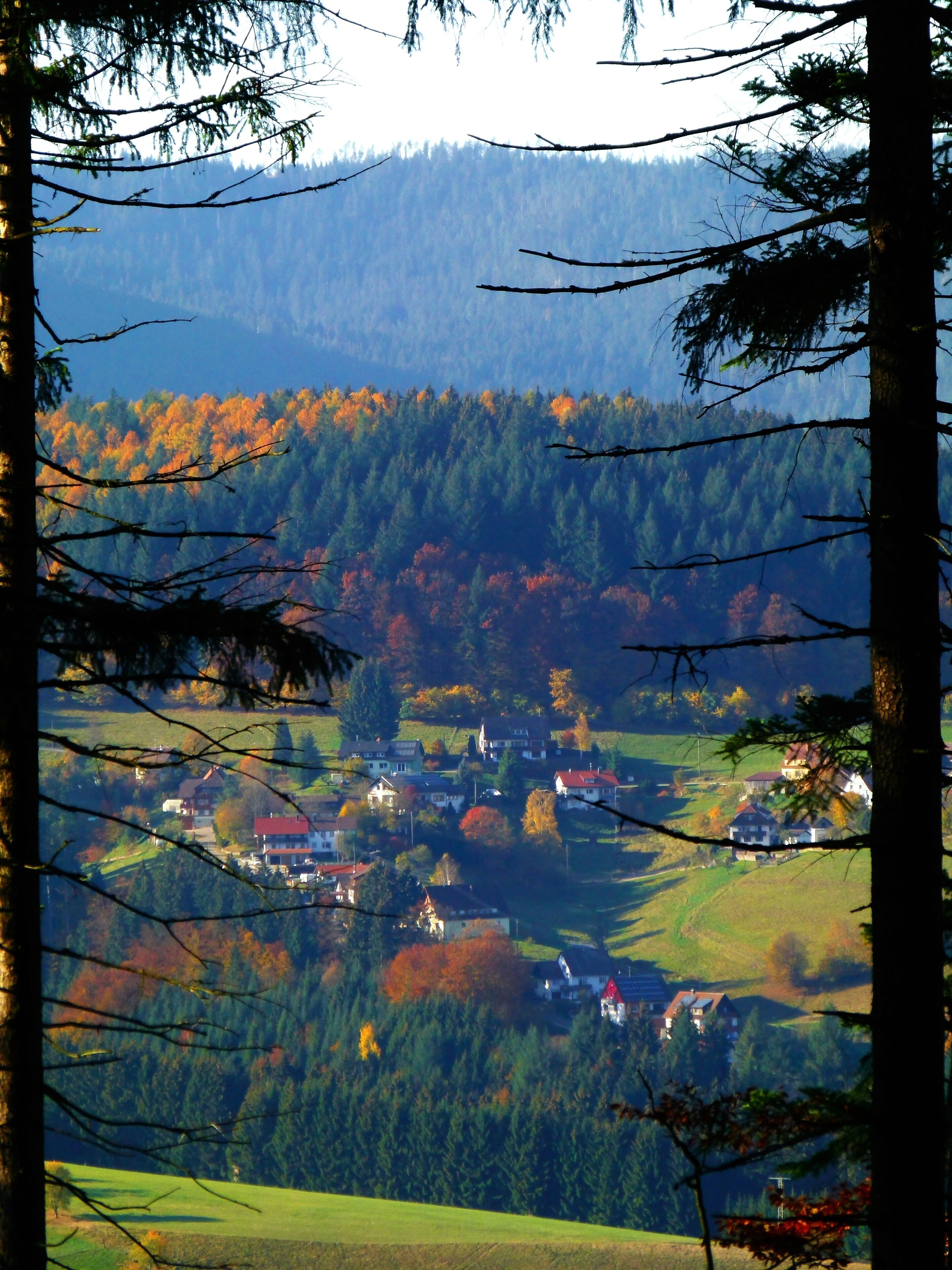 A village nestled in a valley with autumn-colored trees and houses.